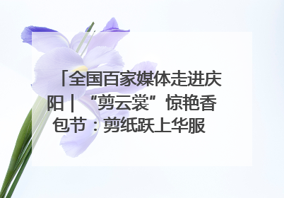 全国百家媒体走进庆阳｜“剪云裳”惊艳香包节：剪纸跃上华服 非遗焕发新彩